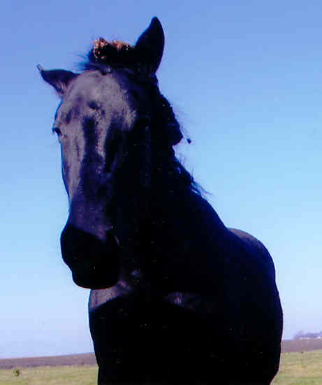 Hope - Picture 1
