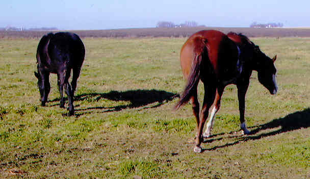 Hope - Picture 3