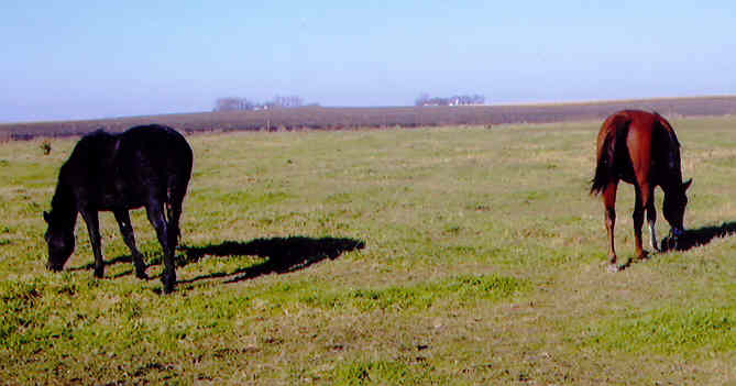 Hope - Picture 4